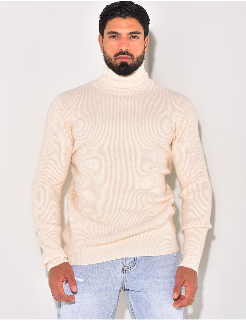 Pull col roulé basic