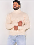 Pull col roulé basic