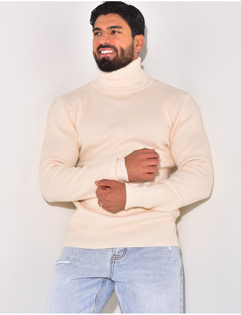 Pull col roulé basic