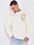 Pull en laine