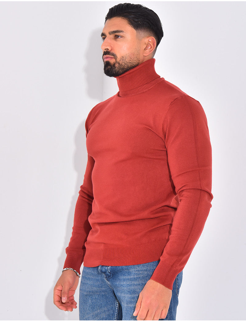 Pull fin col roulé