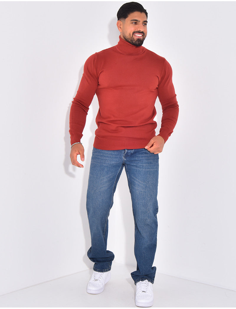 Pull fin col roulé